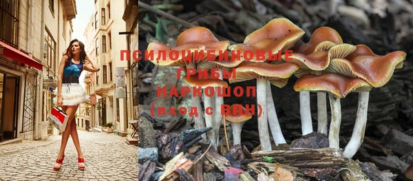 гидра Лабытнанги