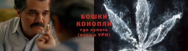 гидропоника Ладушкин