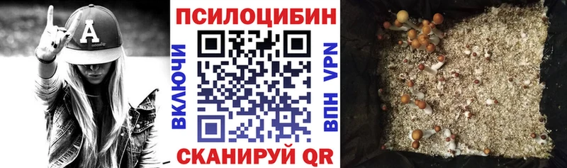 Псилоцибиновые грибы MAGIC MUSHROOMS  Каргополь 